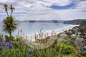 Onetangi Beach, Waiheke Island