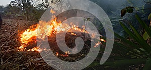 onfire so look beautiful view