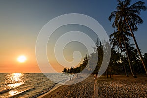 Ong Lang Beach with palms at sunset