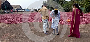 Onian market india, holser onian images