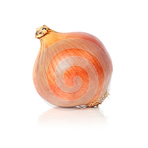 Onion