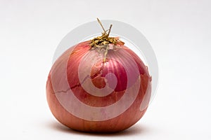 Onion