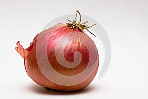 Onion