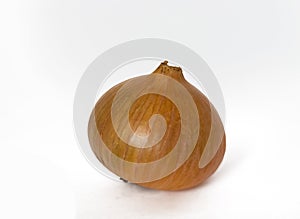 onion