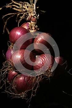 Onion photo