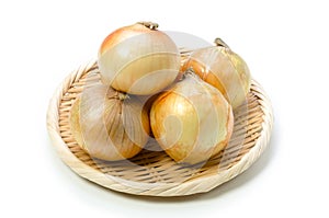 Onion