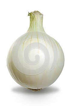 onion