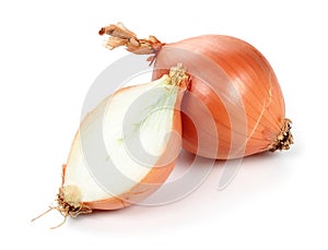 Onion photo