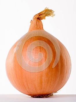 Onion