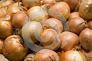 Onion