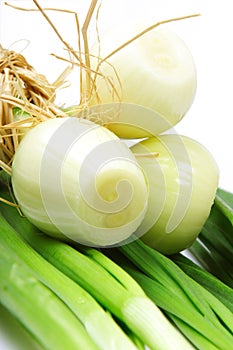 Onion