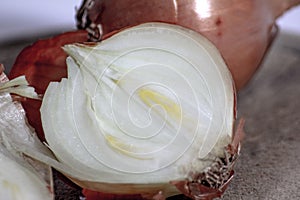 The onion is a bulbous plant traditionally attributed to the family of the Liliaceae.