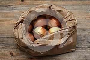 Onion bulbs in a kraft paper bag