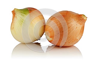 Onion bulbs on a white background