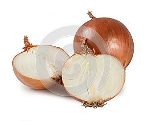 Onion - `Cipolla` Isolated on White photo