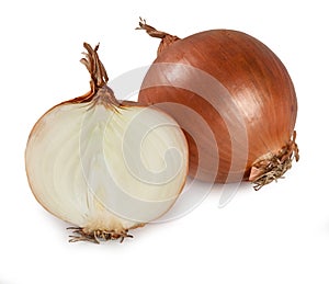 Onion - `Cipolla` Isolated on White photo