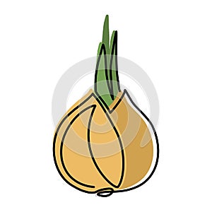 Onion in continuous line art drawing style. Onion whole bulb, half cut and ring sliced minimalist black linear sketch isolated on