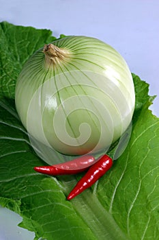 Onion and couple chilli on colza background