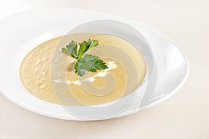 Onion Cream Soup