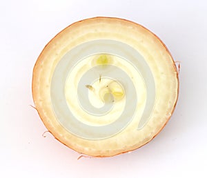 Onion detail