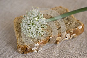 Onion flower on the slice of onion bread