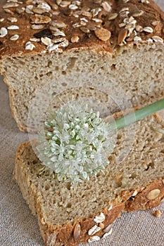 Onion flower on the slice of oniony bread