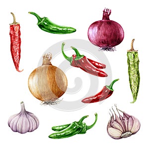 Onion, garlic, chili and jalapeno pepper watercolor set. Hand drawn realistic raw and dry spicy vegetable collection. photo