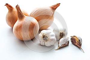 Onion with garlic on white background.
