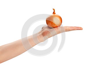 onion in hand path isolated