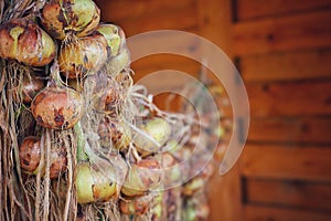 The onion hangs on a rope to dry in a wooden barn
