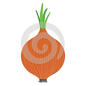 Onion icon