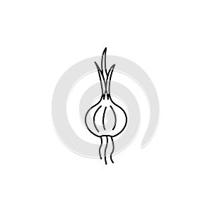 Onion icon, outline style