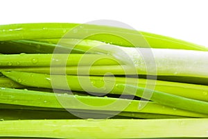 Onion isolated over white