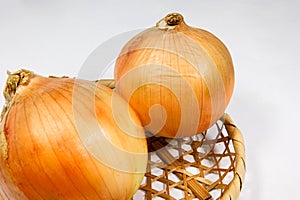 Onion of Japan production.