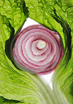 Onion and lettuce