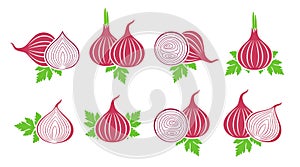 Onion logo. Isolated onion on white background
