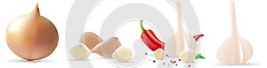 Onion, pepper and garlic. Vector illustration on white background, eps 10.