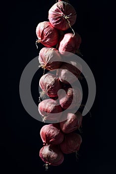 Onion pigtail on a dramatic black background. Minimalism
