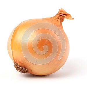 Onion on plain white background - product photography