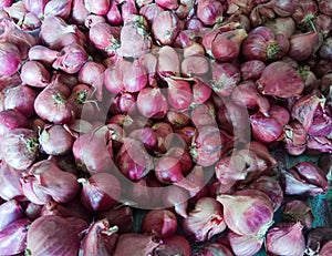 Onion is a plant that is widely used around the world