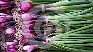 Onion purple red harvest fresh ripe harvesting market shop spring sibies scallion food stem stalk Allium cepa thick bulb