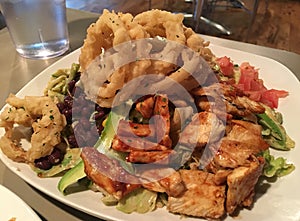 Onion rings with BBQ Chicken Salad