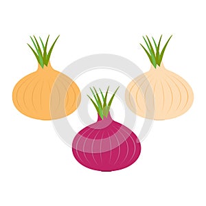 Onion ripe bulb set with green sprout icon. Red yellow color. Vegetable collection. Fresh farm healthy food. Education card for ki