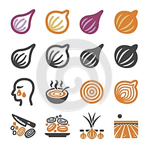 Onion,shallot icon set