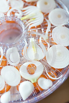 Onion slices and carrots in the dehydrator