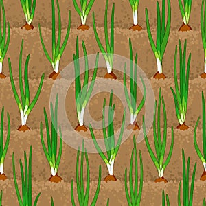 Onion sprout vegetable patches in row seamless