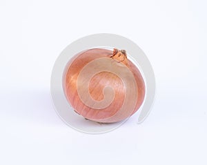 Onion on a white background