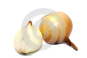 Onion on a white background