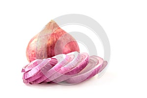 Onion white isolated background,cut