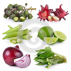 Onion, White mugwort, lime, okra, roselle, Castor oil plant
